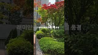 래미안블레스티지 단지조경 010 6530 2486 타임부동산 #개포동아파트 #개포동부동산 #래미안블레스티지 #개포동 #래미안블레스티지단지조경