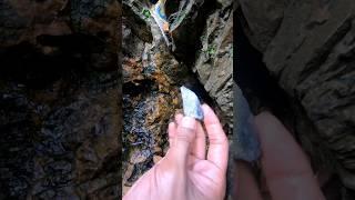 crystal Hunter in forest #diamond #jade #gemstones #agate #crystals #petrifiedwood