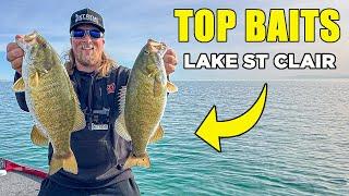 Top Baits For Smallmouth Bass Fishing On Lake St Clair 2024 (REVEALED)