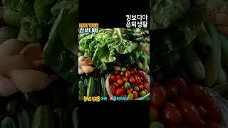 캄보디아 은퇴생활 #꼬끼트리 #캄보디아 #앙코르와트
