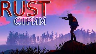 В ПОИСКАХ КОНТЕНТА В RUST!