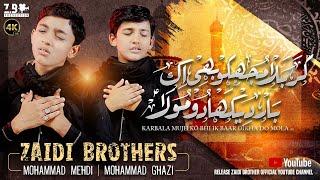 Karbala Mujh Ko Bhi Ik Baar Dikha Do Mola A.S | Zaidi Brothers New Nohay 2024 | Muharram 2024/1446