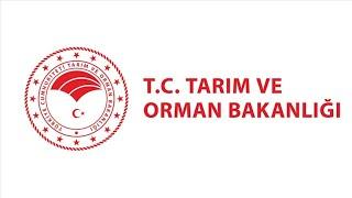 491 Tarım İşçisi Alımı Noter Kura Çekimi