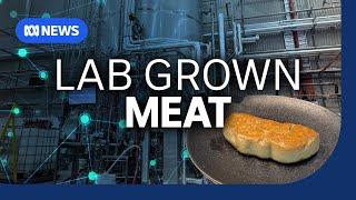 Would you eat lab grown meat? | The Business | ABC NEWS