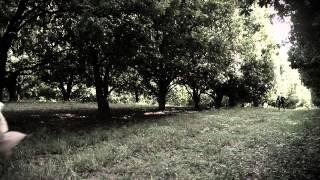 The Dance Song  Brett Nielsen