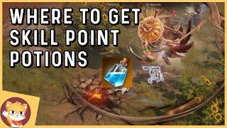 Where to Find Skill Point Potions | Lost Ark