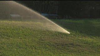 Watering your lawn in Cape Coral? City may charge you more