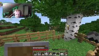 Minecraft Mirror Stream