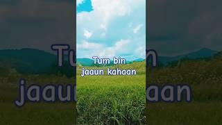 Tum bin jaaun kahaan.#song #bollywoodsongs #hindisong #90s #90ssong #trending #music #lyrics