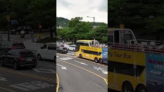 청와대에서 만난 서울시티투어버스 Meeting the Seoul City Tour Bus at the Blue House #shorts