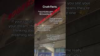 Crush Facts.