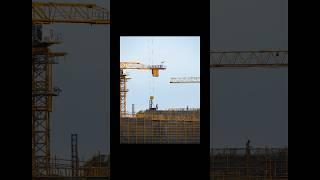 what I saw vs the shot-Construction Workers#nikon #Z6Ⅱ#streetphotograph