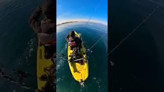 A PESCA VELOCE! Kayak fishing - insta 360 video Reframed #clipangler