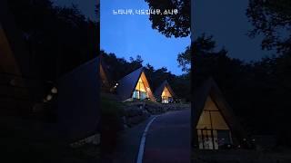 2023.1. 오픈한 #세모집과  리모델링으로 깨끗한 #송정자연휴양림