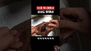 10초 뒤 대참사 예상도 못했네 ㅋㅋㅋㅋ