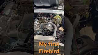 My first Firebird on its second restoration doing it over the top