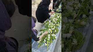 7 ژوئیهٔ 2022