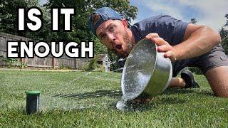 Do YOU Make THESE  Watering Mistakes!?