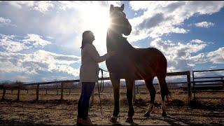 Your Gifts Have Changed Horses' Lives