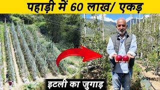 ऐसे होती है देवभूमी में Apple की आधुनिक खेती Modern Apple Farming | Indian Farmer