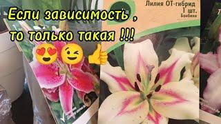 Весеннее обострение!!!Это не лечится!!!!