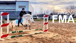 FMA am Stall mit Halsring reiten+ neuer Sattel 