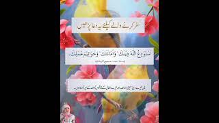 Safar Krny Waly Ki Dua #urdu #video #status #tiktok #viral #quotes #trending #allah #quran #shorts