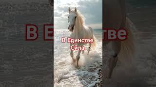 В Единстве Сила #библия #бог #шортс #божья #доброгоутраихорошегодня #душа