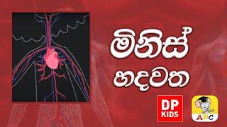 මිනිස් හදවත | Circulatory System with Professor Hester