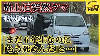 「まだ６年生なのに『もう死ぬんだ』…」路上に突然クマ　サイドミラー折る瞬間カメラ捉える　北海道・知床