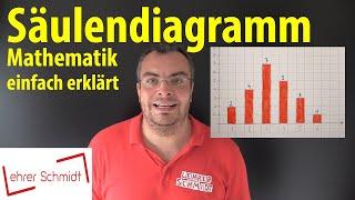 Säulendiagramm erstellen | Mathematik - einfach erklärt | Lehrerschmidt