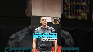 Foot Sweeps a Critical Concept to Understand In NoGi BJJ #gordonryan #mma #ufc #whitebelt #adcc