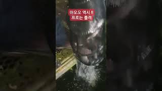 역시 프로는 틀리구나!! 대만족 대환영입니다 ''설동낚시터''