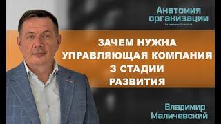 Зачем владельцу бизнесов нужна управляющая компания или холдинг - 3 стадии развития