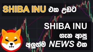 ALERT! BUY SHIB INU RIGHT NOW!!!!!!!