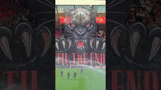 Our tifo, our club ️‍ #safc #sunderland #tiltheend