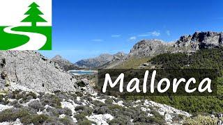 The most beautiful hikes in Mallorca