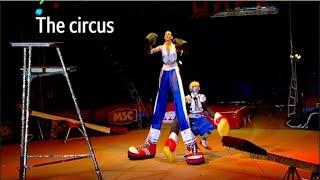 Moscow State Circus