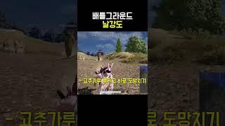 배그 | 날강도 #배틀그라운드 #에겐남