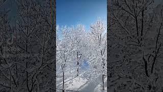 #зима#природа#тишина#спокойствие#маргарита