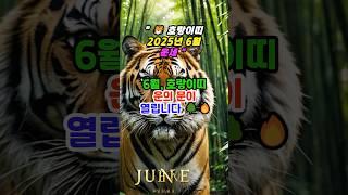 “ 6월 호랑이띠 운세 “ #미미의운정비서 #띠별운세 #운세숏츠 #운세채널 #금전운 #운세 #6월운세 # shorts