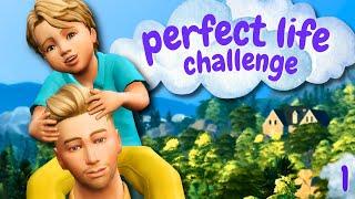 Perfect life challenge EP1 - Les débuts d'Arthur - Let's play Sims 4