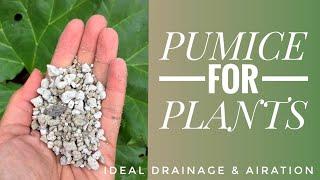 PUMICE FOR PLANTS & POTTING SOIL MIX | A SOIL SCIENTIST VIEW ON PUMICE VS PERLITE.