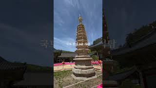 오대산 월정사 #오대산 #월정사