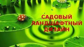 Садовый Ландшафтный Дизайн. Подборка Красивых Дорожек!