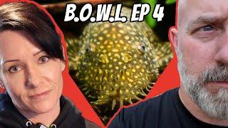 We eat turkey while Plecos eat poop! GIVEAWAY! B.O.W.L. Ep. 4