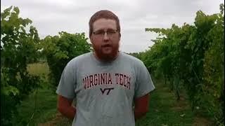 May I Speak To The Farmer: Meet Alex Bates