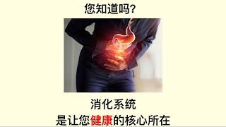 如何维护消化系统的健康？