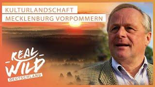 Doku: Landwirtschaft im Wandel - Mecklenburg Vorpommern | Real Wild Deutschland