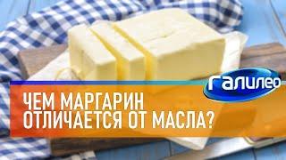 Галилео  Чем маргарин отличается от масла?